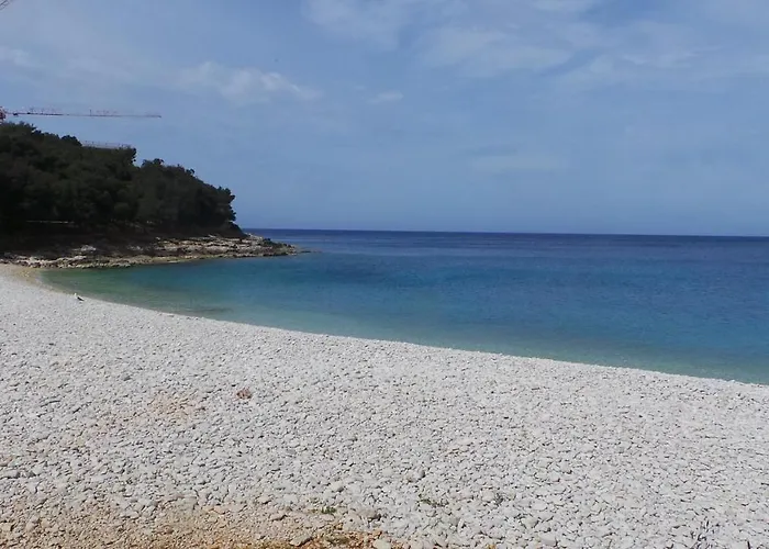 Golubic Apartament *